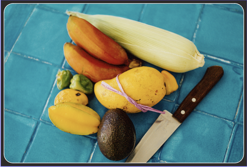 Fruit Fruit